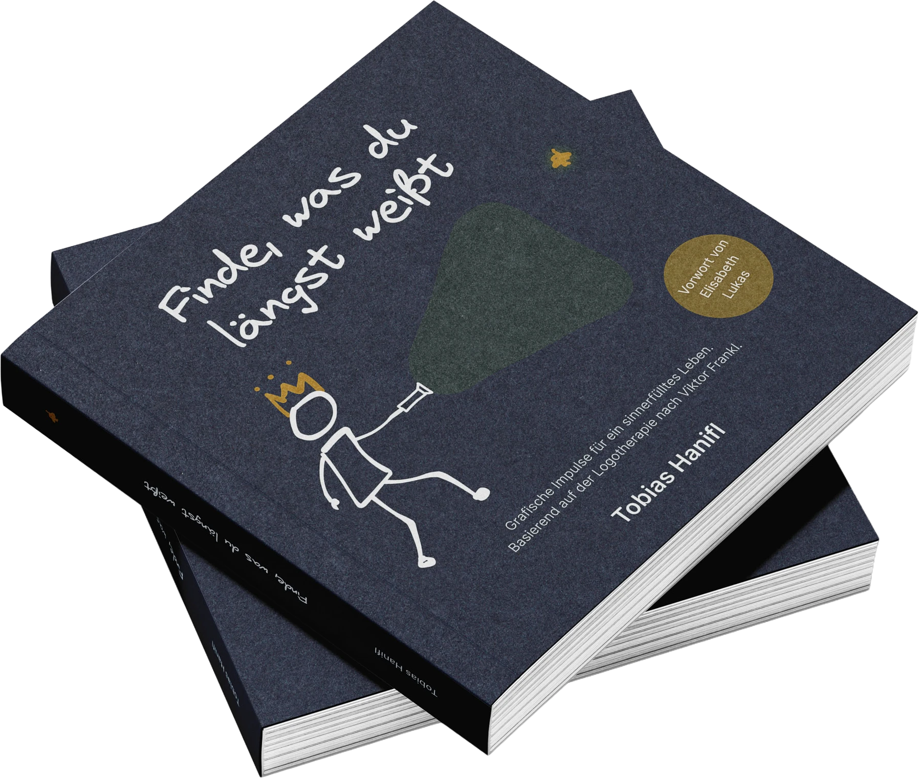 Buch: Finde, was du längst weißt